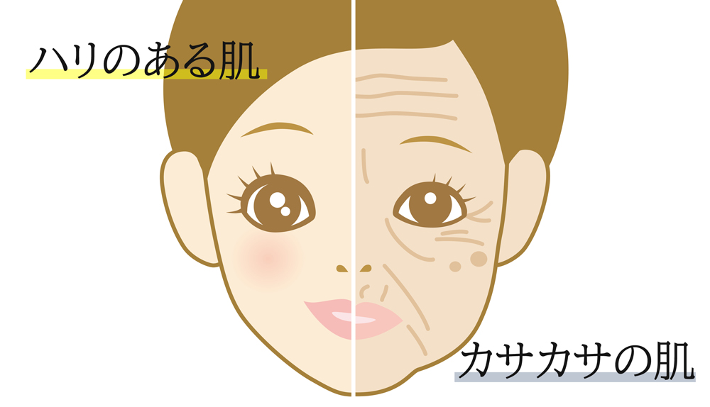 見た目印象比較