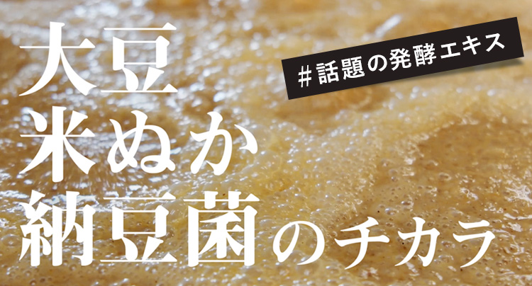 発酵熟成