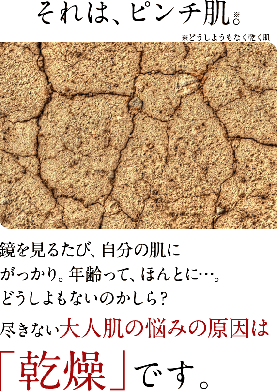 それは、ピンチ肌。